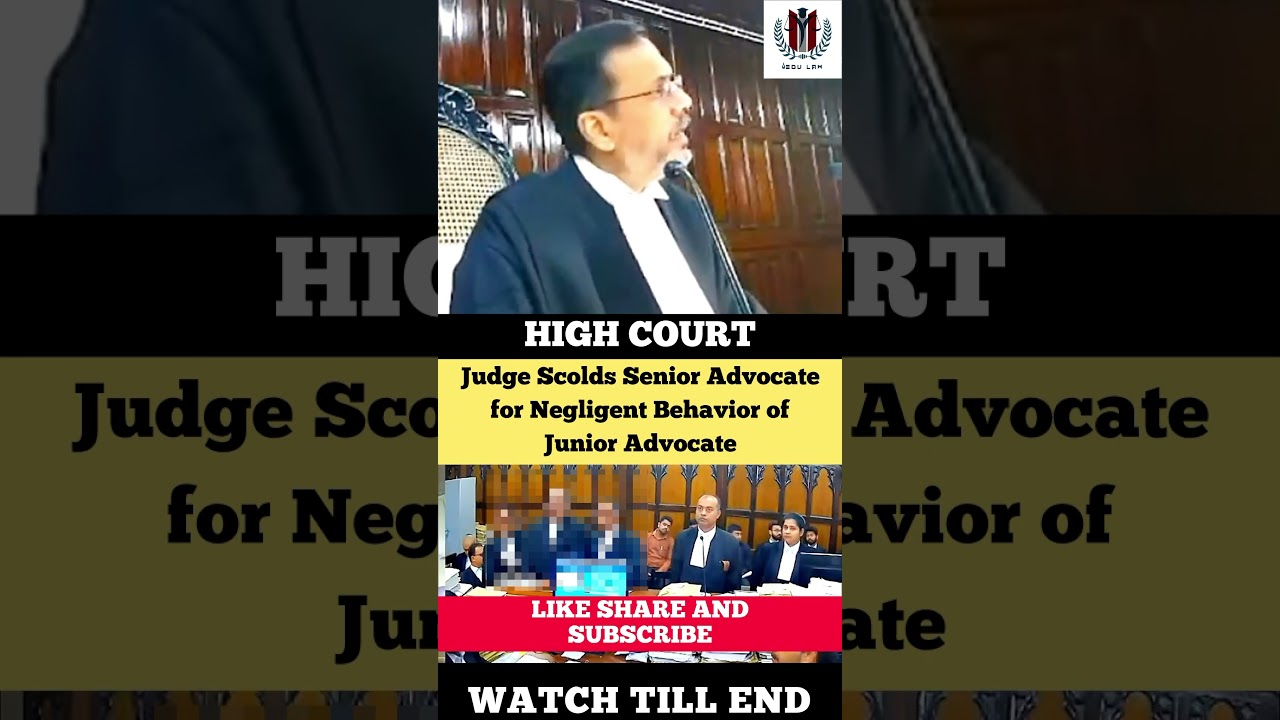 Judge Scolds Senior Advocate for negligence of Junior #judge #advocate #highcourt #shortvideo