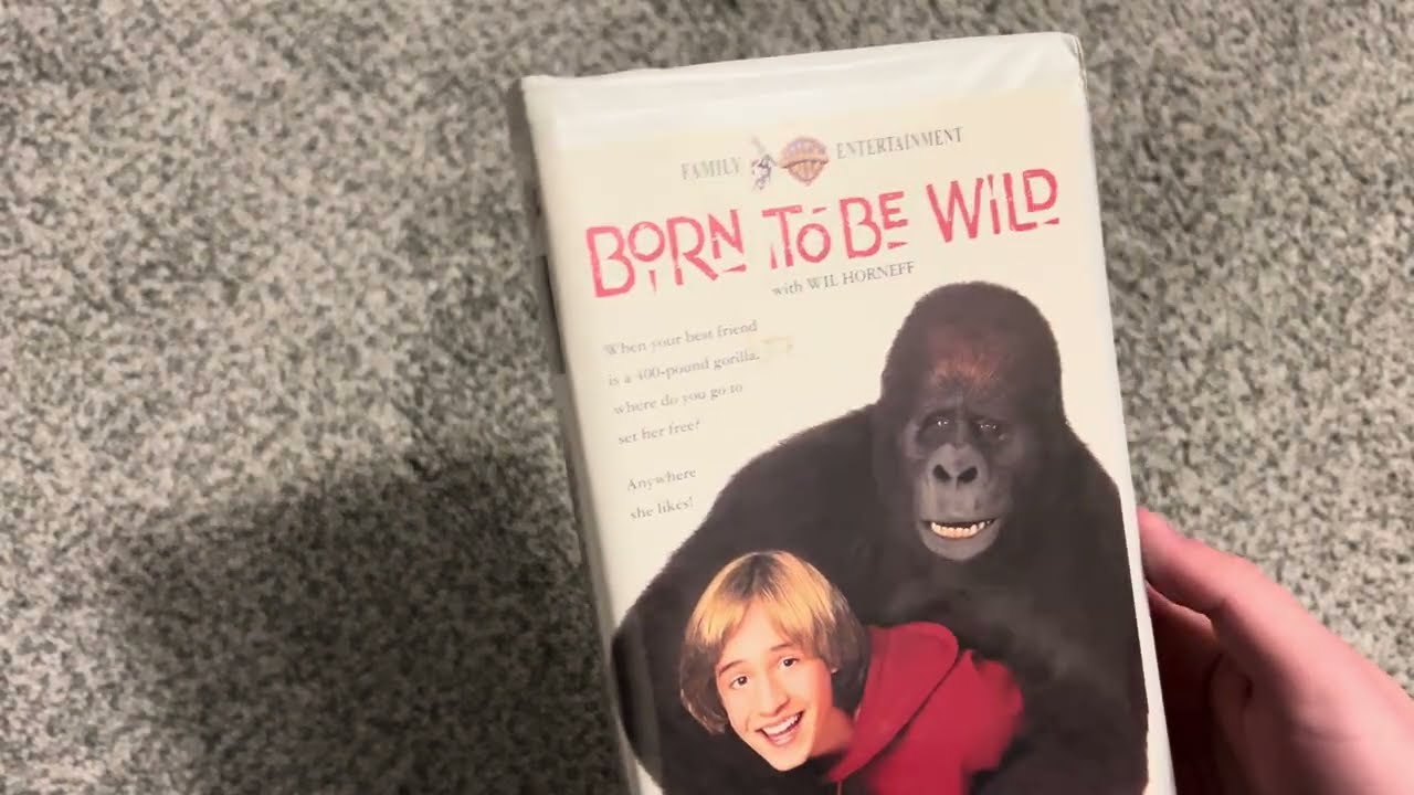 Обновление информации о VHS, DVD и Blu-Ray на 4 января 2026 года (первое видео 2026 года)