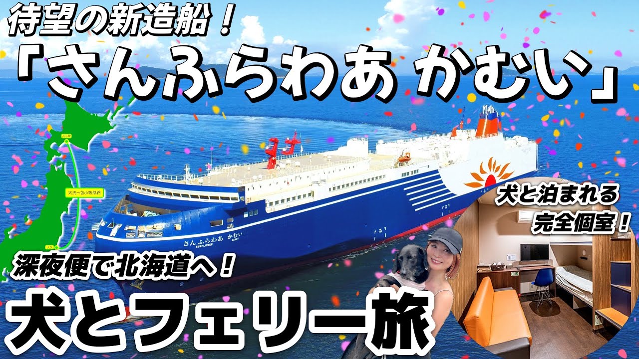 深夜便なら貸切状態！？18時間の船旅で北海道へ！「さんふらわあ・かむい」ペット可客室レビュー【大洗〜苫小牧】