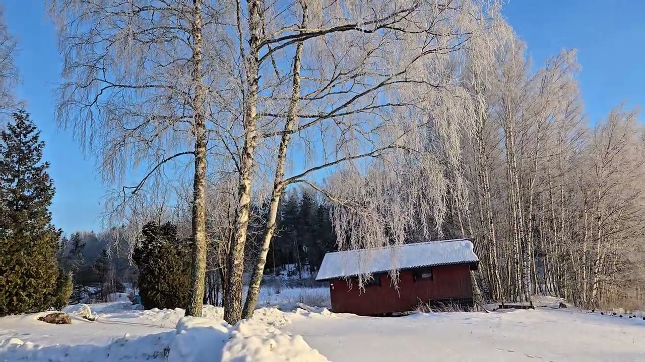 #winter #snow #nature #beautiful #Finland #europe #summerhouse 
