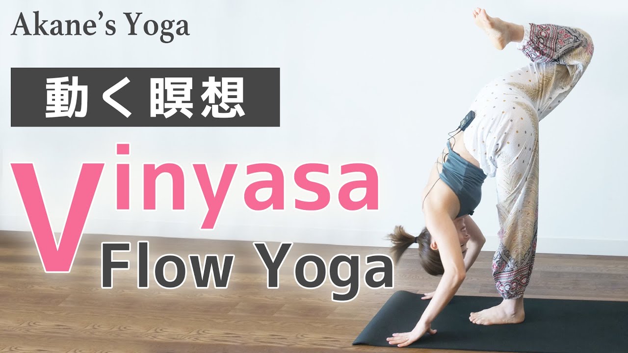 動く瞑想【ヴィンヤサフローヨガ】VINYASA FLOW YOGA