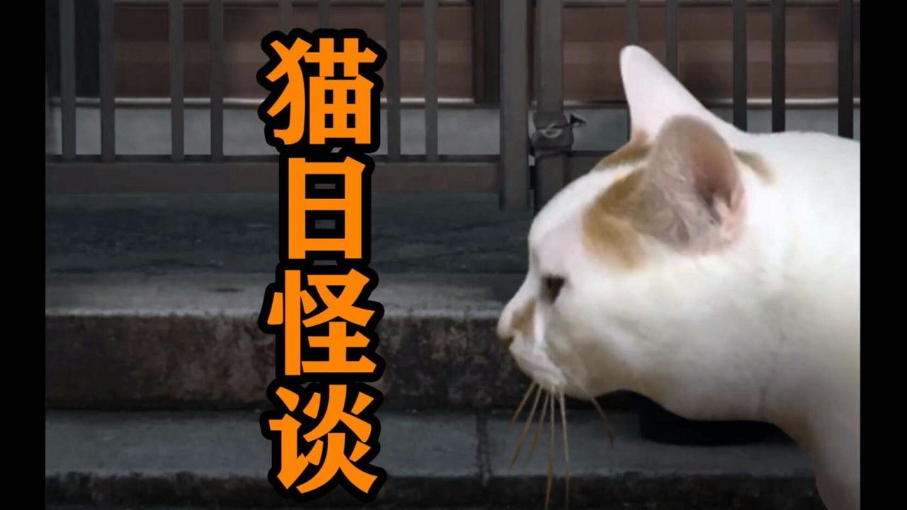 【恐怖游戏】以猫的视角观察这个世界，你知道会发生什么恐怖的事吗？【猫的一天的奇谈怪论】#恐怖游戏 #恐怖 #游戏解说#猫的一天的奇谈怪论