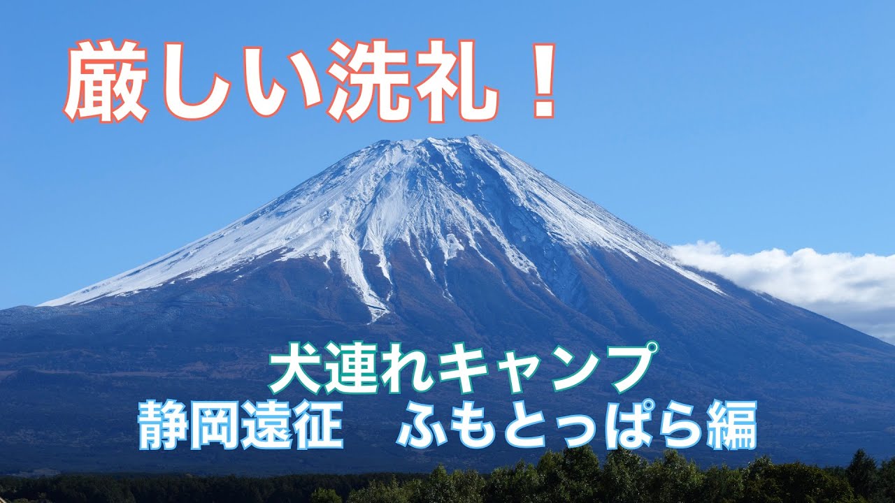 厳しい洗礼！犬連れソロキャン、静岡遠征　ふもとっぱら編