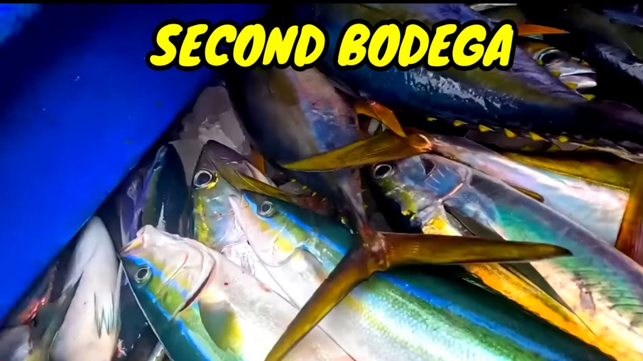 P31 -  PUNO NA DIN ANG SECOND BODEGA - EP54