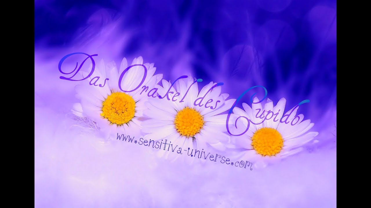Das SENSITIVA UNIVERSE® Orakel des Cupido | Das Orakel für Singles & Seelenpartner ♥