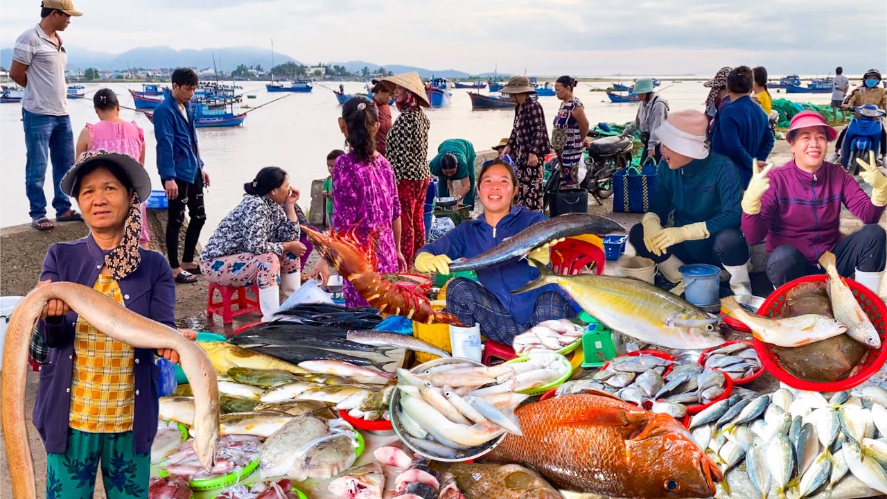 Bất Ngờ Trôi Ghe Trong Đêm Do Mưa Lớn | Chợ Động Phan Rang Quá Trời Cá To
