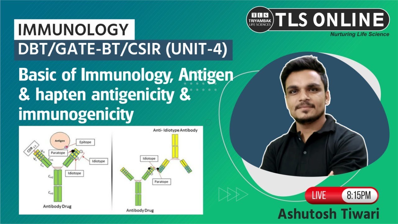 Basic of Immunology, Antigen & hapten antigenicity,  I CSIR-JRF, GATE-BT & XL, DBT-JRF |