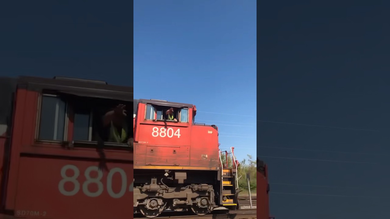 CN train with the Rowdiest engineer ever! B&LE railfanning #train #cn #ble #railfun #rowdy #cntrain