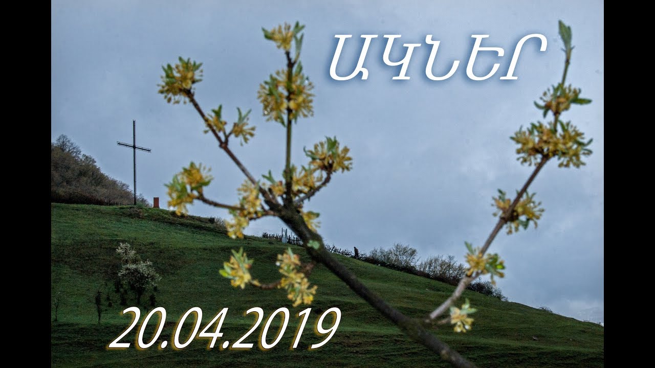 20 04 2019 Akner Arthur Tsatinyan