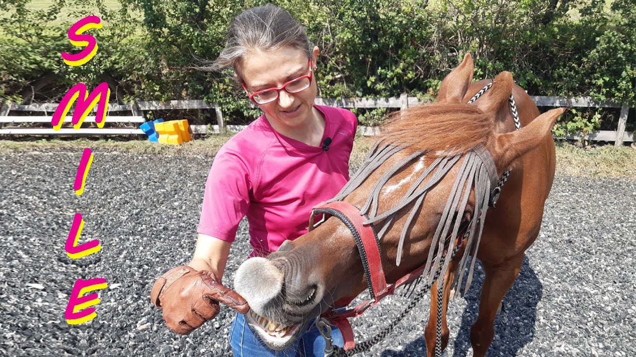 Come far sorridere il cavallo