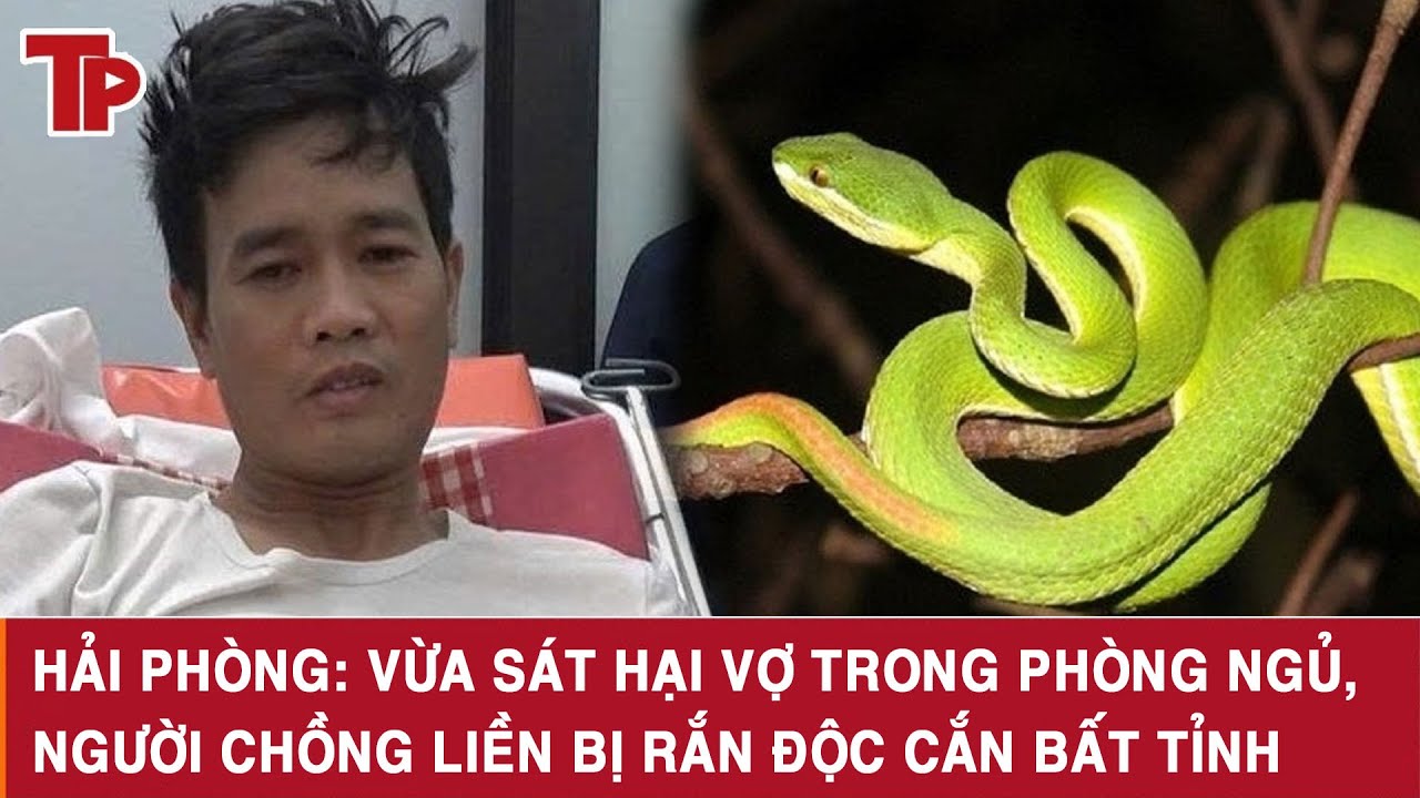 Hải Phòng: Vừa sát hại vợ trong phòng ngủ, người chồng liền bị rắn độc cắn bất tỉnh
