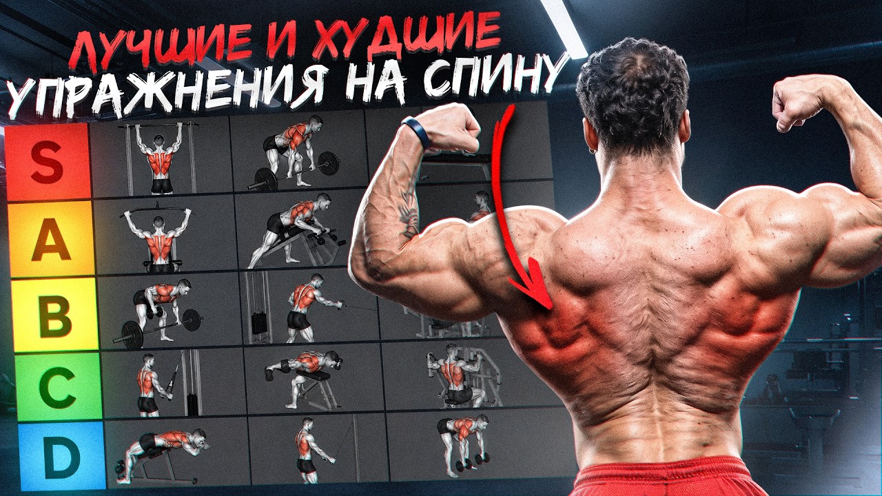 ТИР ЛИСТ УПРАЖНЕНИЙ НА СПИНУ