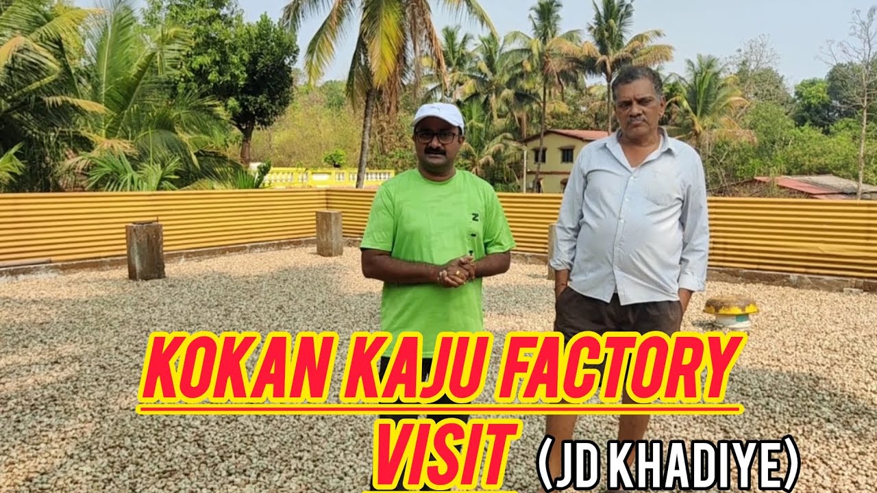 Kokan Kaju Factory visit  - Devgad Koloshi J D KHADIYE #कोकण #cashew #kokan #devgadh