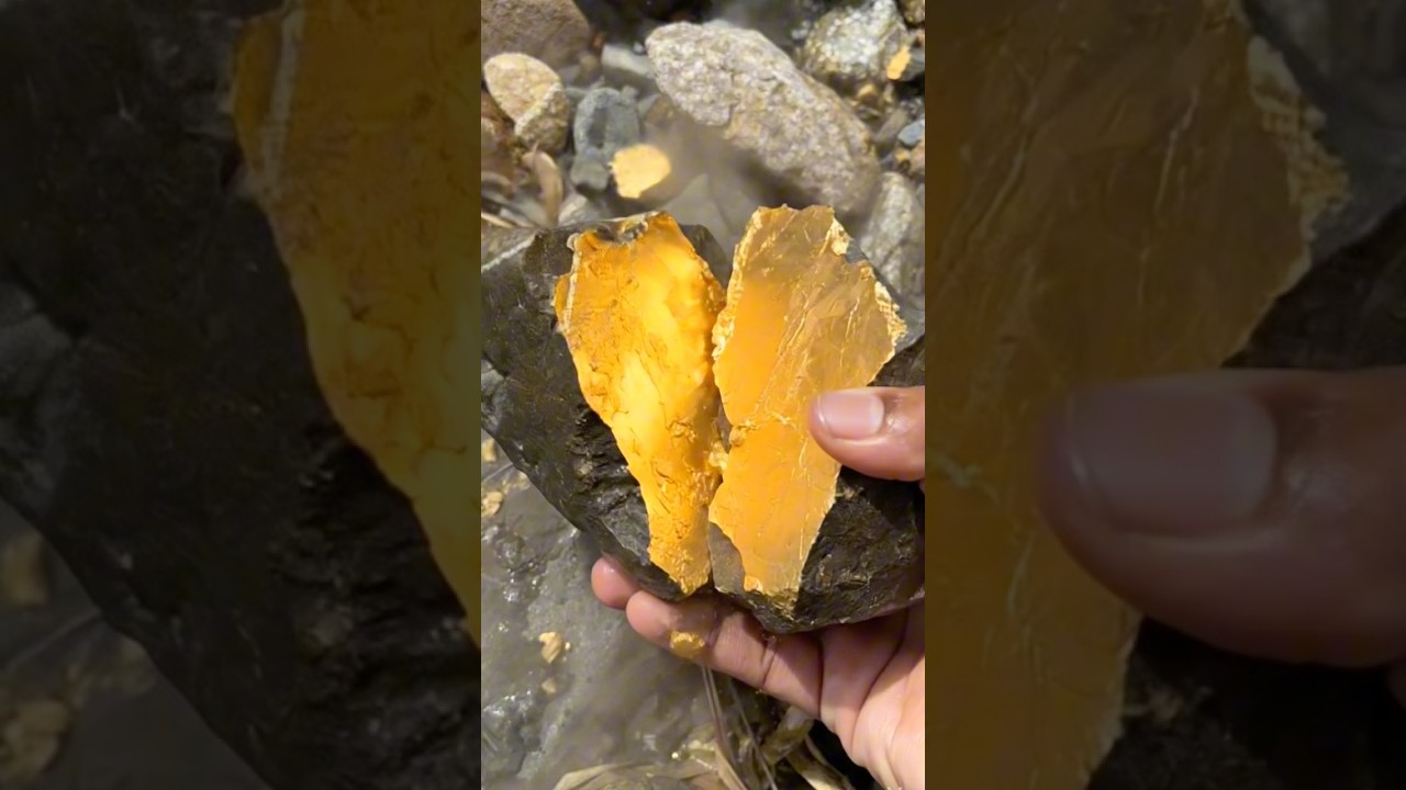 Discovering Super Gold-Rich Quartz Nuggets #golddiscovery #findgold #findgold