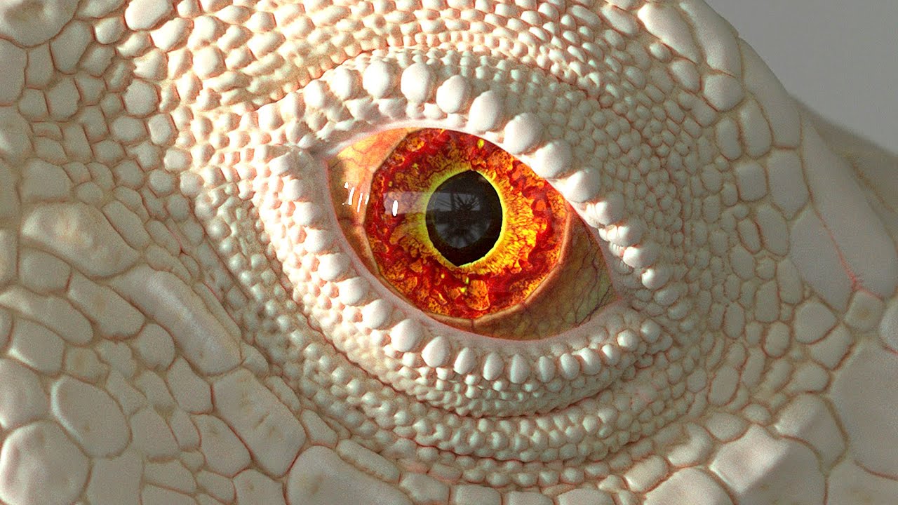 Reptile Eye 3D Making Of - Sculpting and Animating :: Dragon and Me