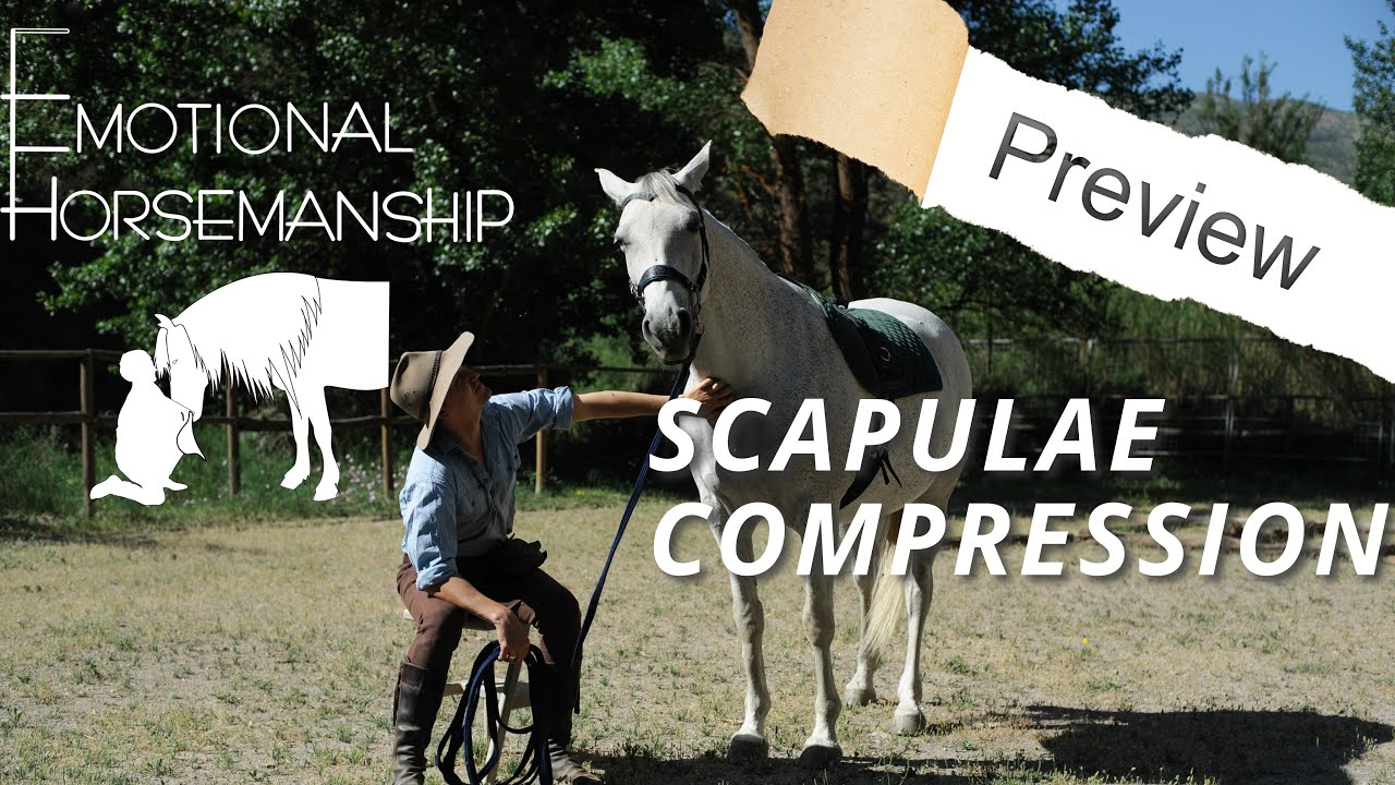 Preview, Luna: Scapulae compression, thoracic sling and posture (July 2022)