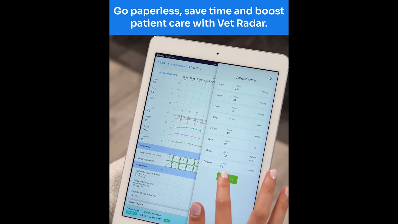 EZYVET Byte-size - Go paperless & save time, Cheat Lake #veterinary #pets #vetmed #ezyVet #IDEXX