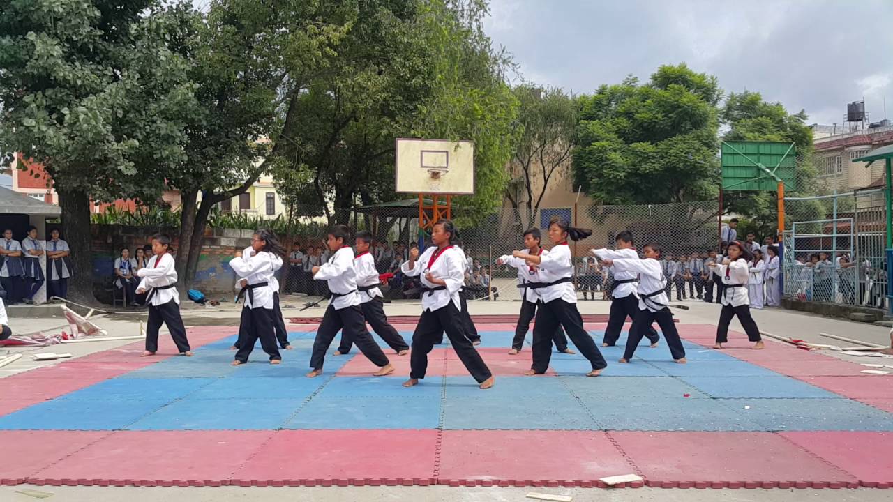 kapan tigers new