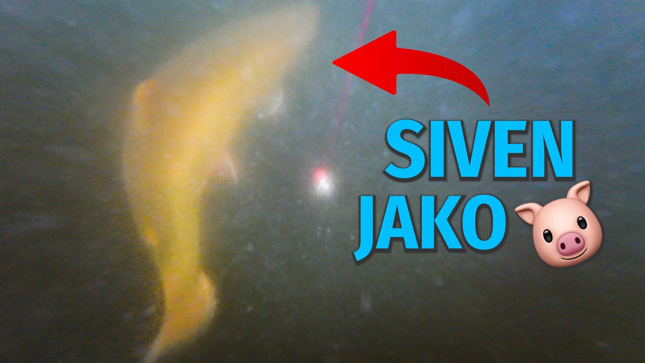 Siven jako prase pod ledem! Chytil jsem ho? Ve vánici na dírkách na rybníku Písák.