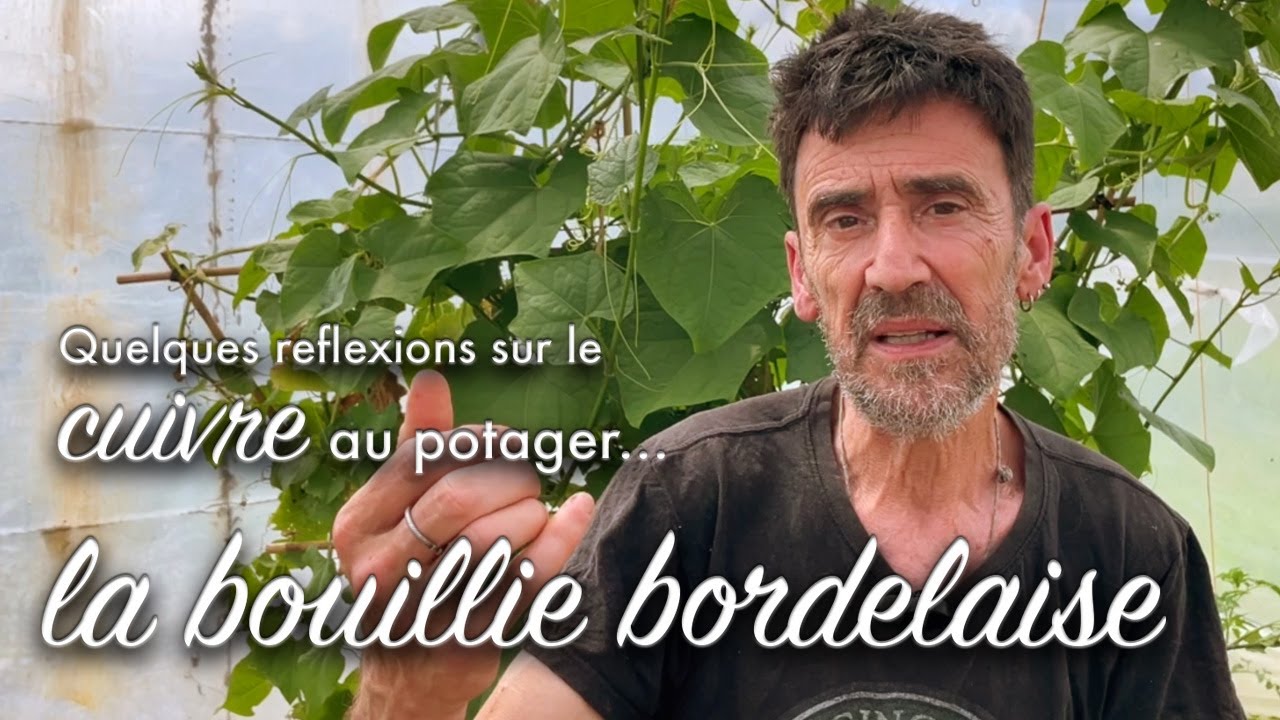 Bouillie bordelaise et cuivre au potager : amis ou ennemis ?