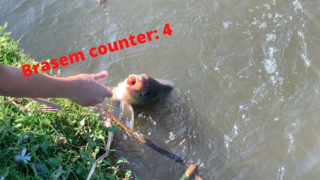 Brasem waanzin op de wetering!!!- Feedervissen #3