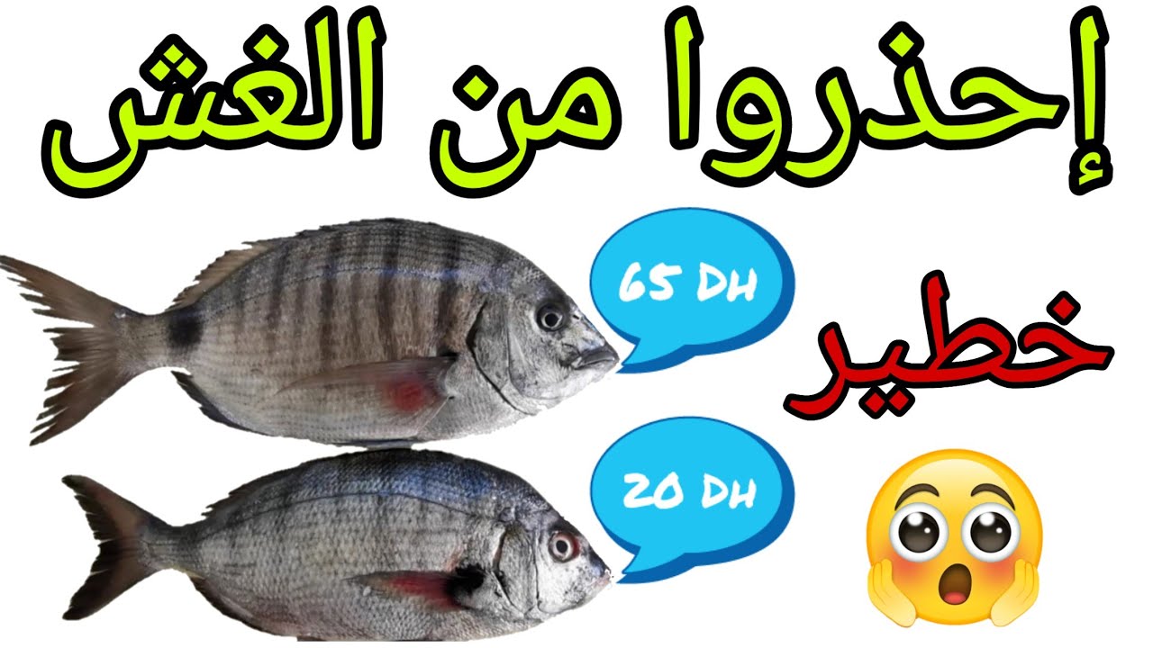 الفرق بين سمك الشرغو والشيليا وفم الشيخ La diff&eacute;rence entre poisson Sar et Faux Sar