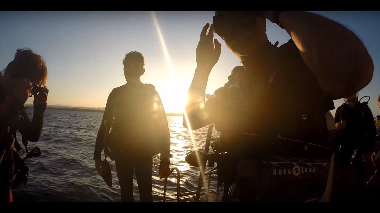 Egypt Dive Safari with Deep Divers from Hurghada