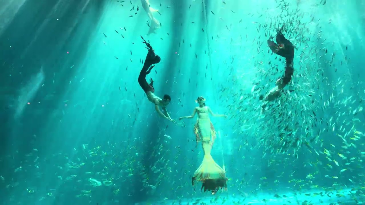 Mermaid Show : Show sắc màu đại dương Full Show 4K 
