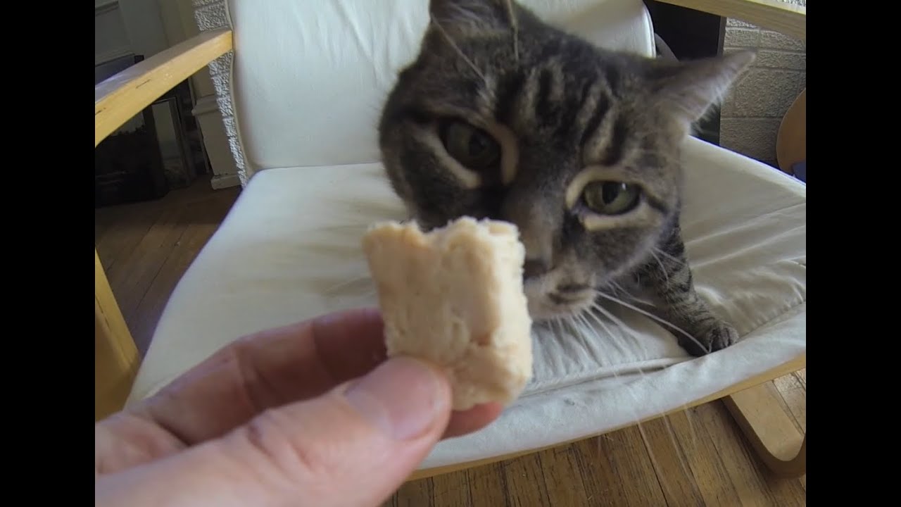 Tuna - You Suck at Cooking (episode 2)