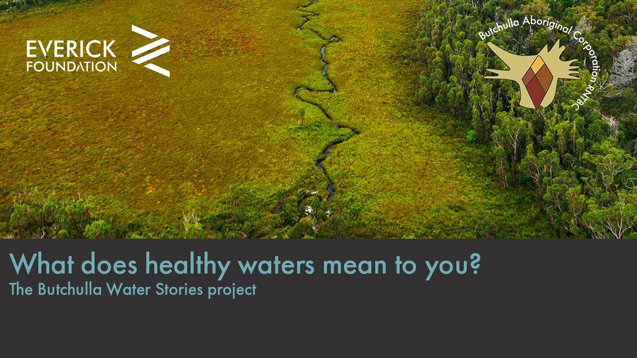 What does healthy waters mean to you? - The Butchulla Water Stories project