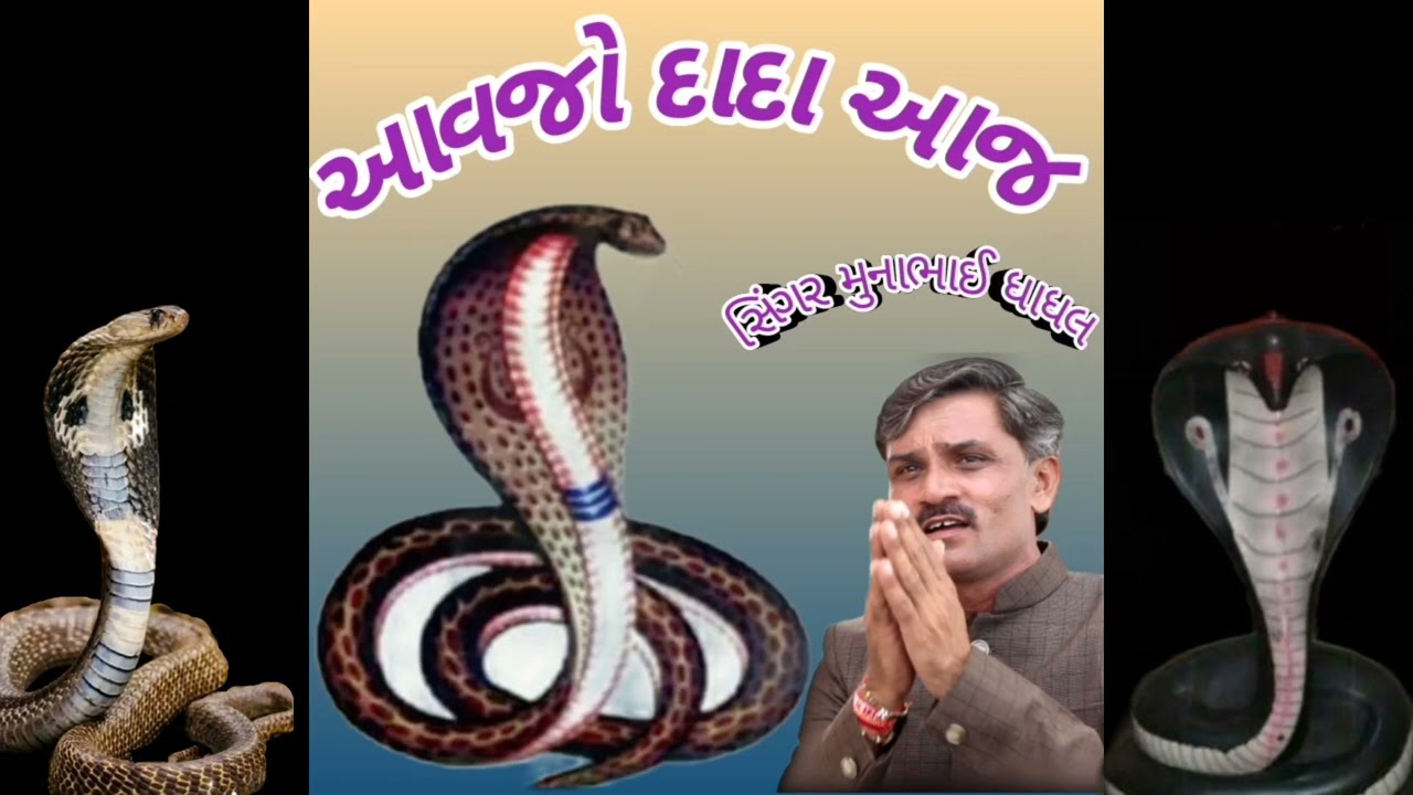 આવજો# દાદા #આજ  સિંગર #મુનાભાઈ ધાધલ*****