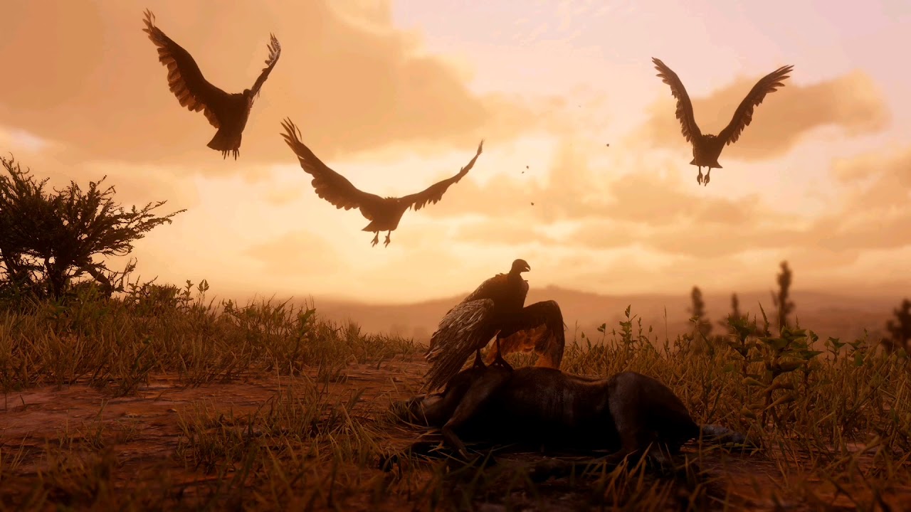 Vulture aid elixir theme, instrumental cover by Mert Demiraslan *(READ THE DESCRIPTION) *