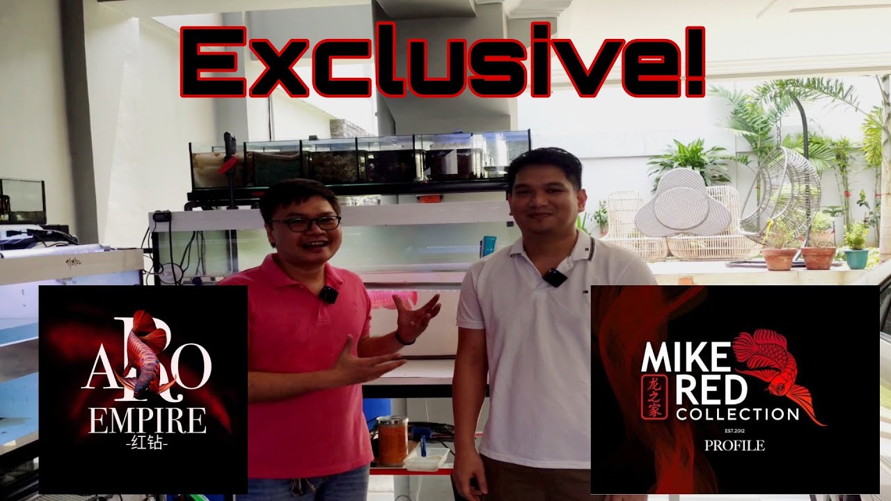 Aro Empire - Mike Red Collection Exclusive!