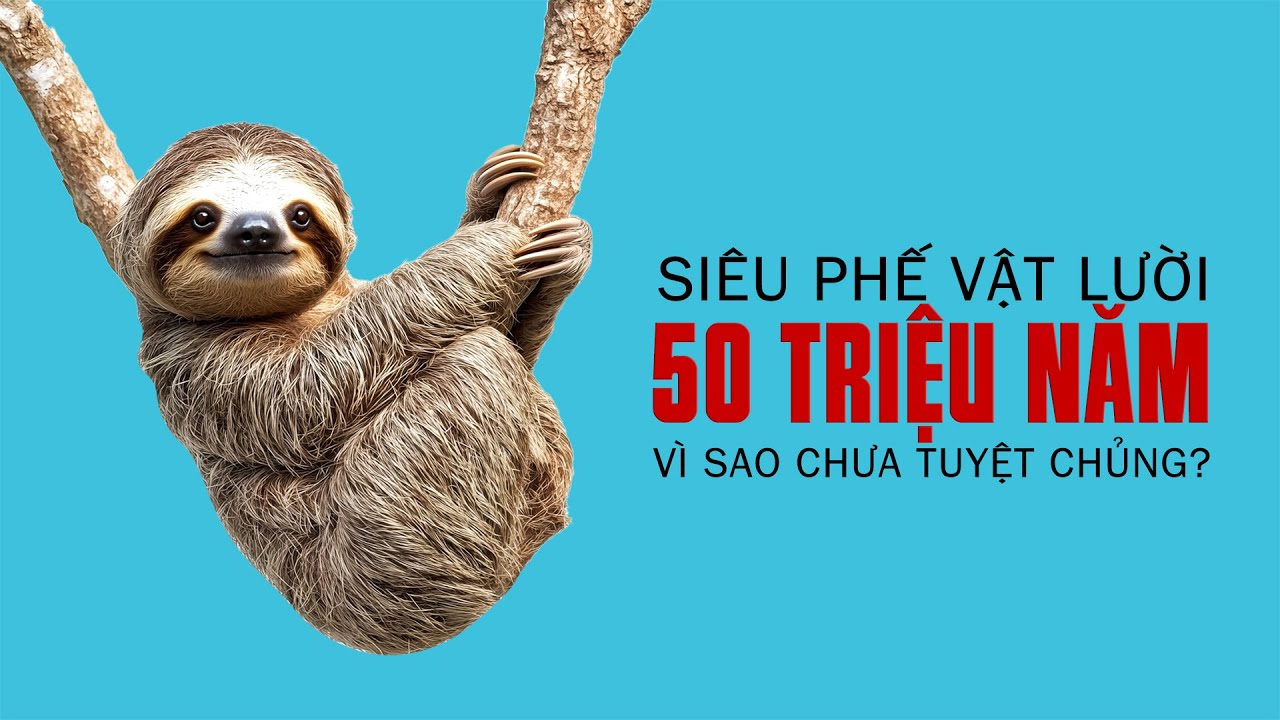#1013 Vì Sao SIÊU PHẾ VẬT LƯỜI Chưa Chịu Tuyệt Chủng?
