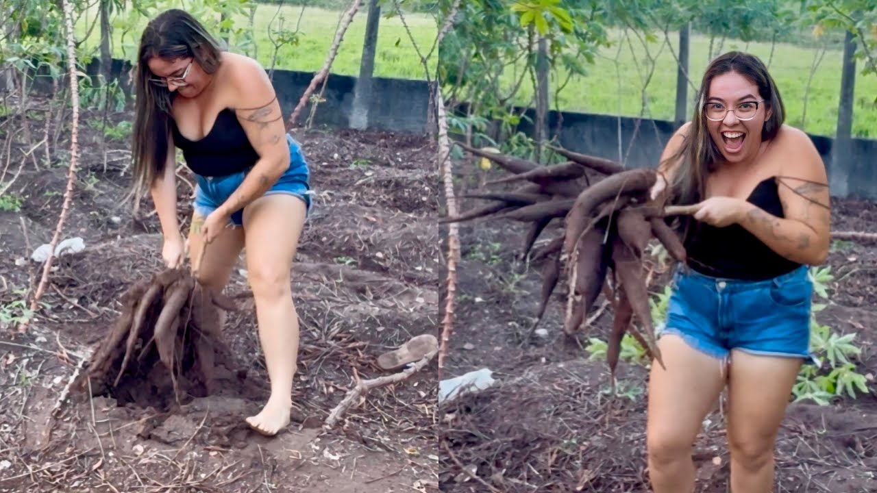 ANDRÉIA FAZ A LIMPA NA FAZENDO DO AVÔ DE LEÔNCIO SEM ELE SABER | ANDREIA PEREIRA