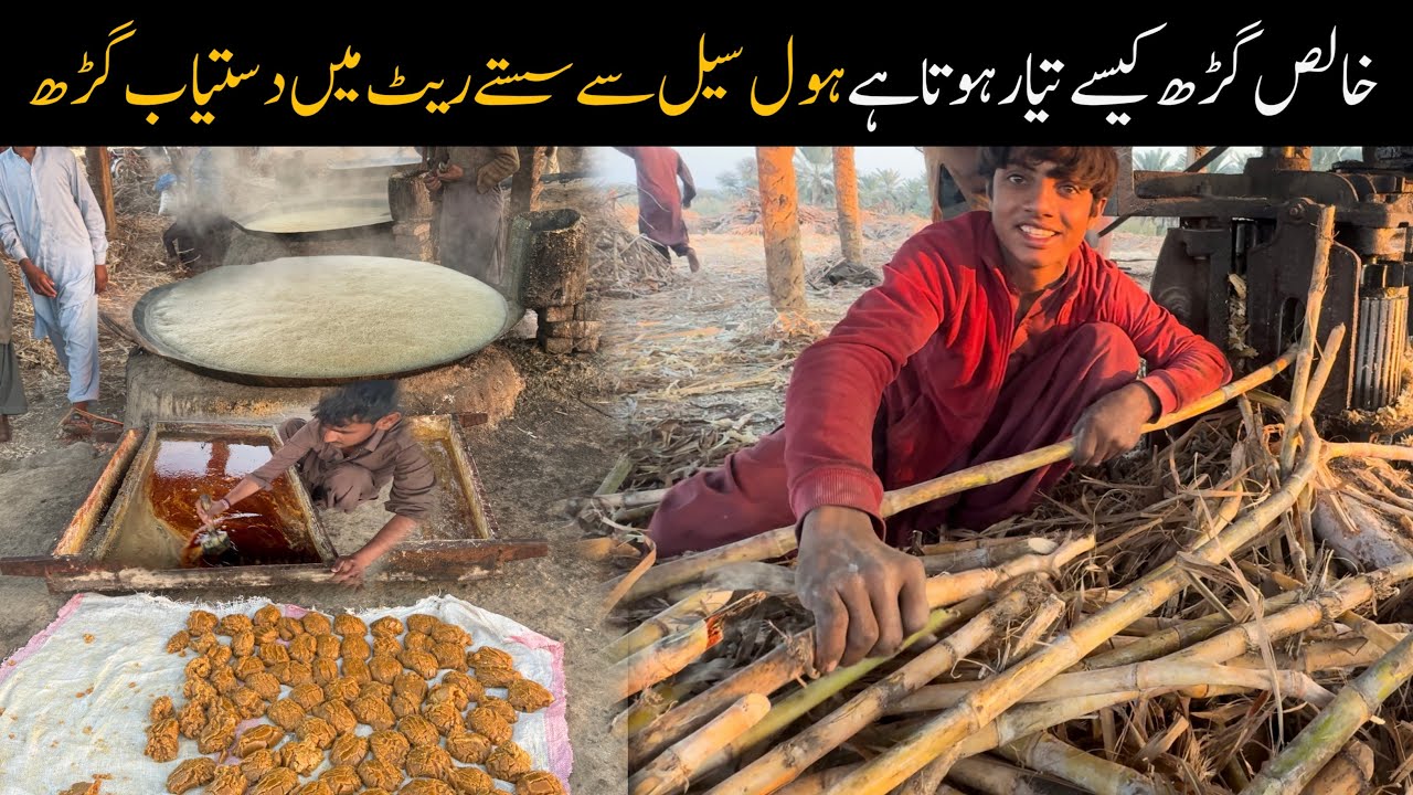 How they made pure jaggery | Gurh ka karobar karen | wholesale se sasta| Food Logger | SaienHaloon