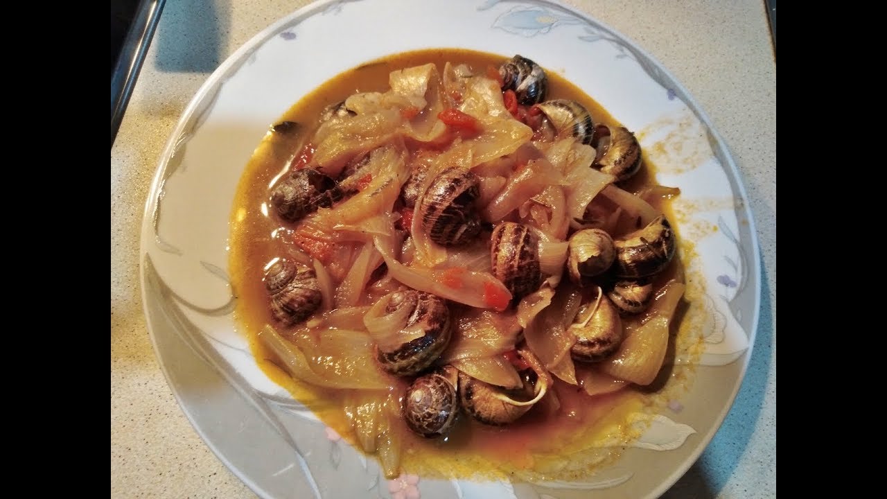 ΧΟΧΛΙΟΙ  (ΣΑΛΙΓΚΑΡΙΑ) ΣΤΙΦΑΔΟ Η ΣΥΝΤΑΓΗ ΒΗΜΑ ΒΗΜΑ GREEK -amalia-oti traba h camera