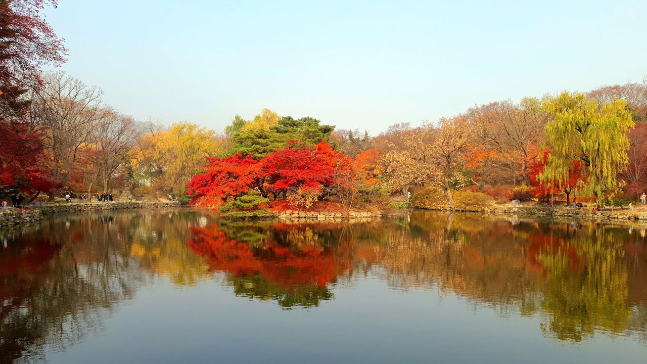 Walking in Changgyeonggung Palace, Seoul, South Korea 2021