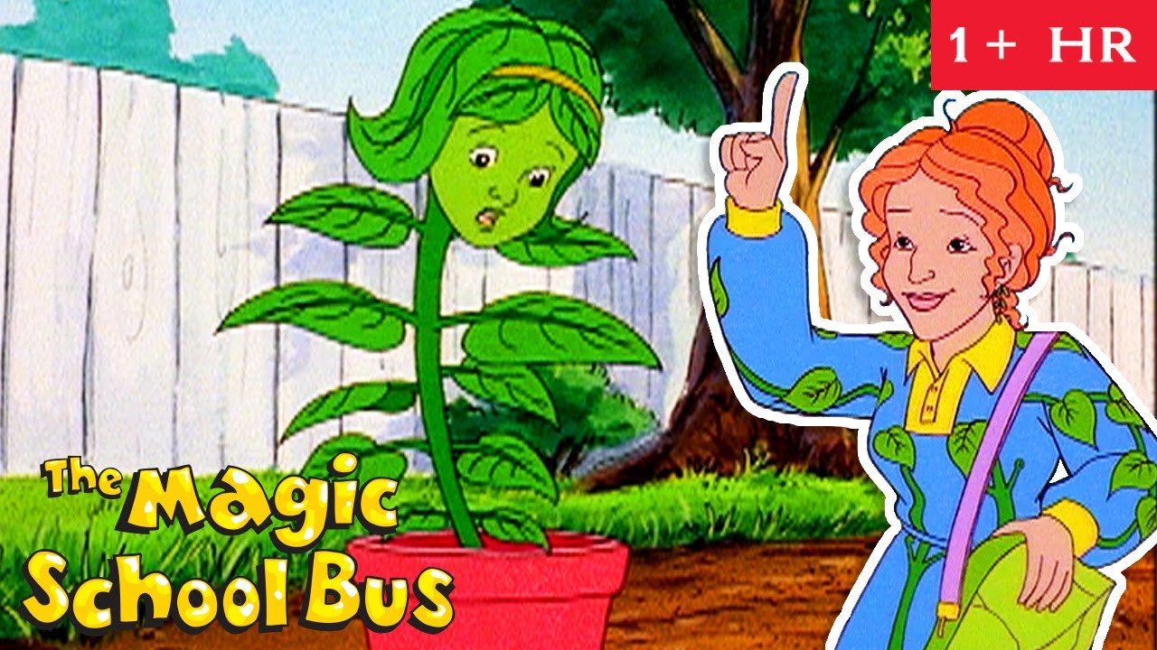 Photosynthesis, Rainforests and Erosion | Full Episodes | The Magic School Bus | Scholastic Classic