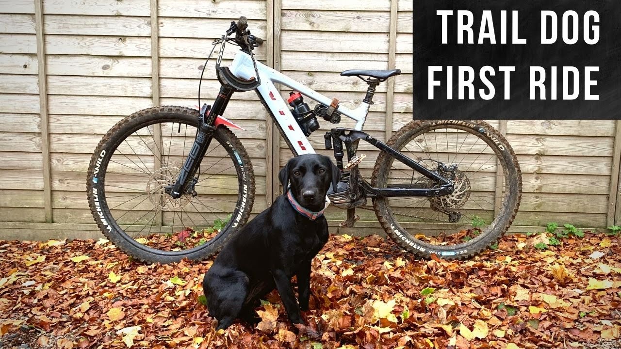 Will she be the ultimate MTB Trail Dog?! Roxie's First Ride...