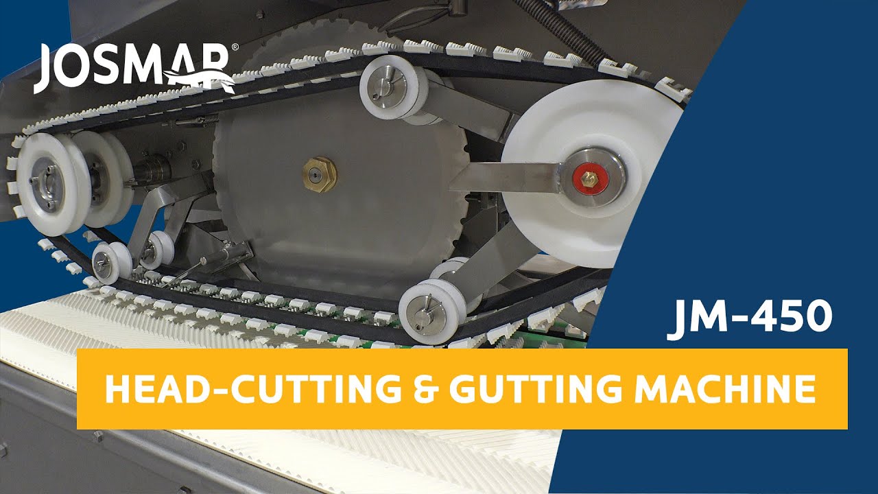 JM-450  Fish Heading & Gutting Machine | Descabezadora y evisceradora ...