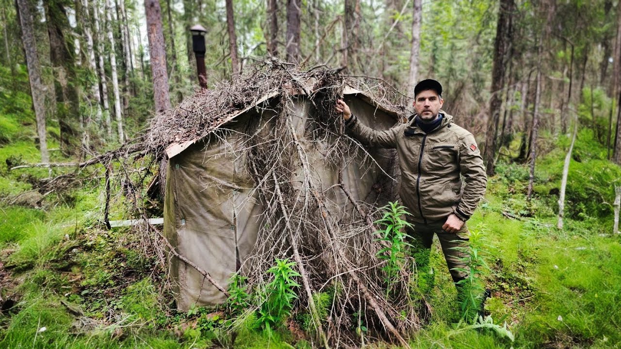 How a Tiny Cabin in the Forest Became My Home for the Night