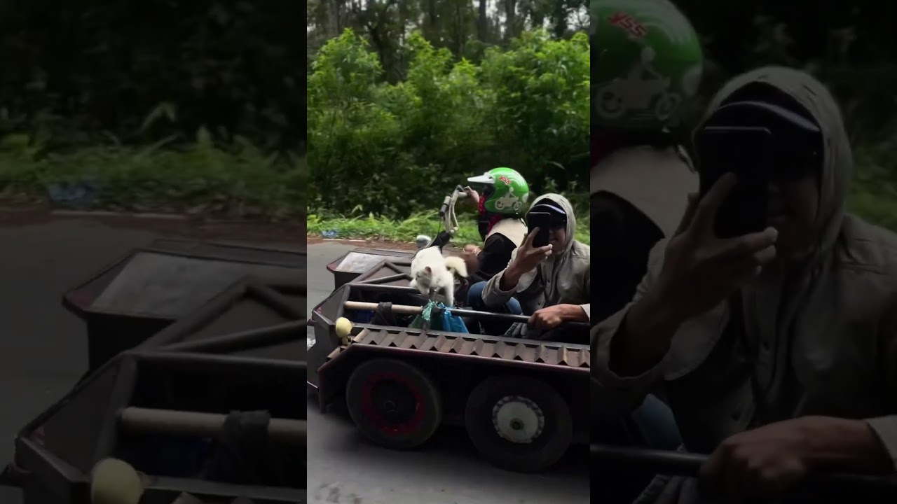 ini baru gua bgt✌️✌️ 