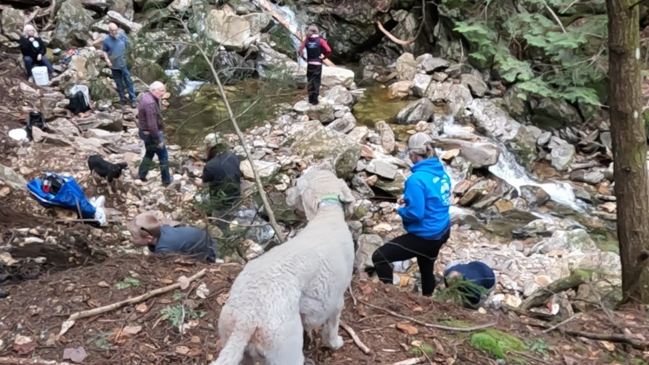 Rockhounding New Hampshire: Shelburne Lead Mine