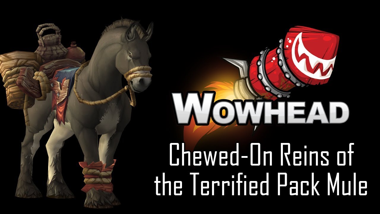 Chewed On Reins of the Terrified Pack Mule