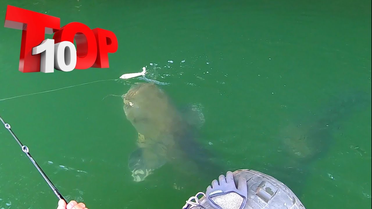 TOP 10 MOST INSANE MONSTER FISH TOPWATER ATTACK 🏆