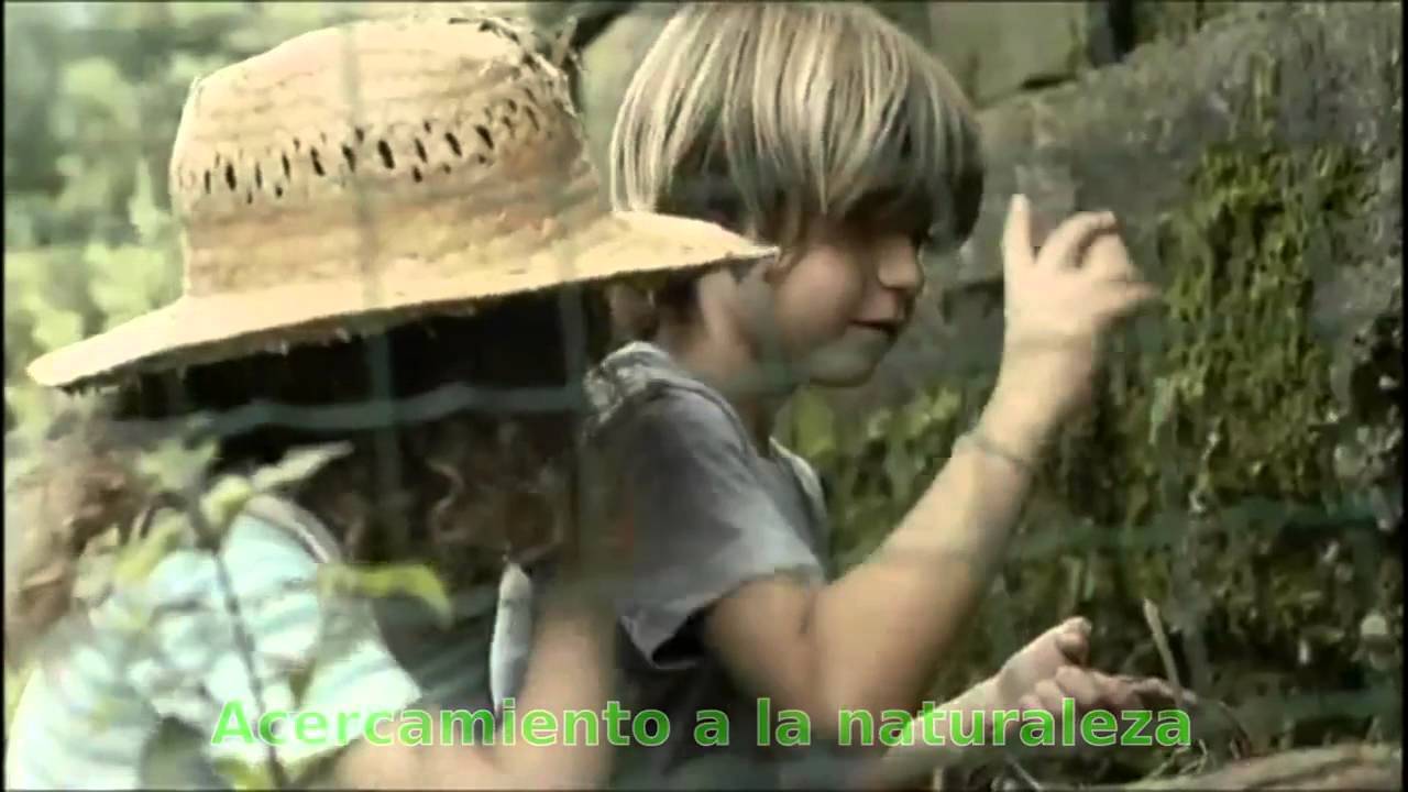 ¿Qué son los scouts?