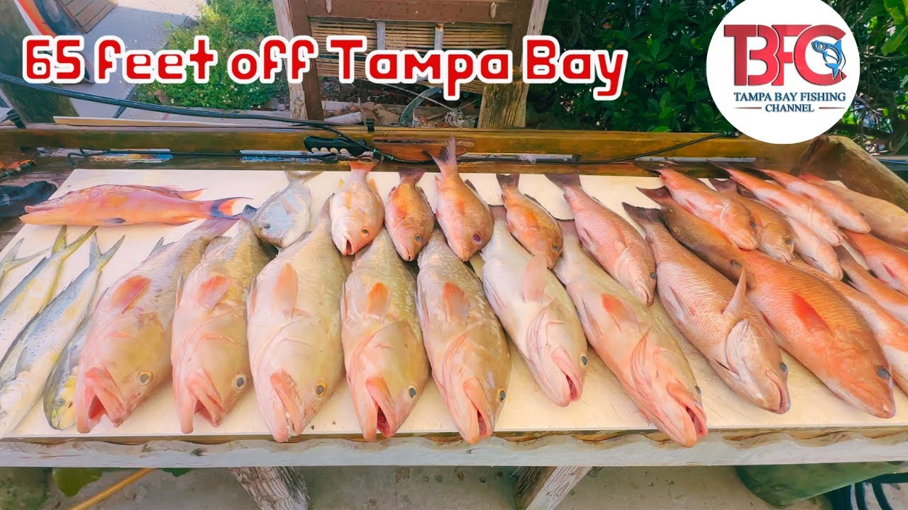 Fishing in 65' offshore Tampa Bay!