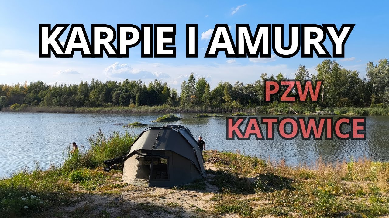 Weekend nad wodą PEŁEN RYB! | Karpie i Amury z PZW