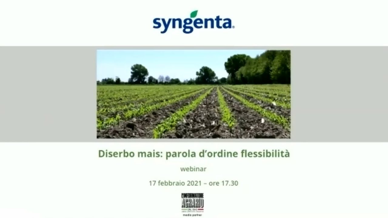 Diserbo mais: parola d'ordine flessibilit&agrave;